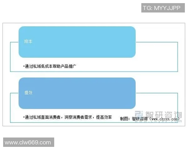 杭州篮球队控制策略解析及其对球队发展的影响探讨